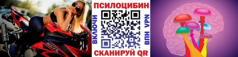где купить   Кумертау  MEGA ТОР  Псилоцибиновые грибы прущие грибы 
